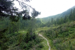 Trail-bei-der-Gamper-Alm