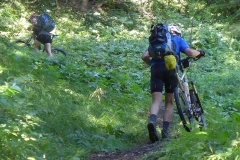 Den Berg hoch und unter der Nößlacher Autobahnbrücke durch