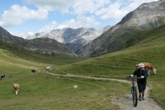 Zwischen Alpe Trela und Bocchetta Trelina
