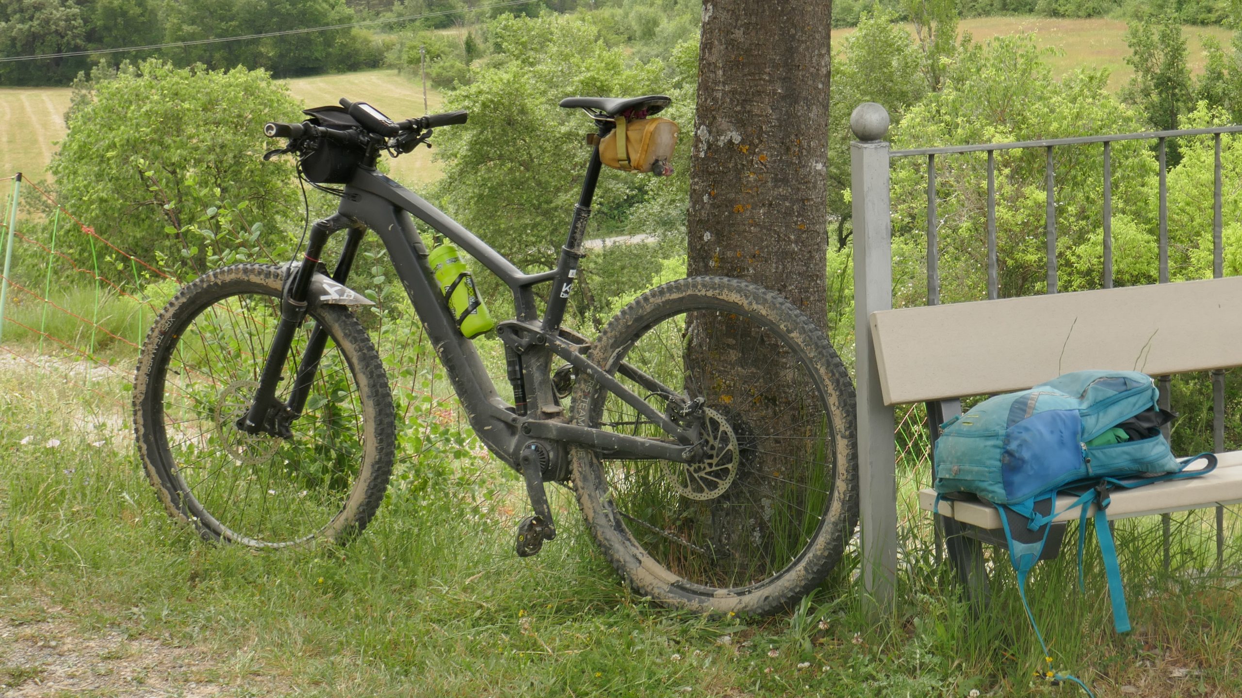 2024 06 1192 Trek Fuel EXe scaled
