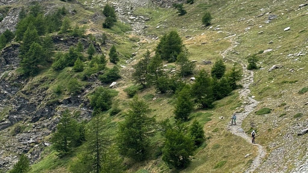 Cottische Alpen 2026 07 148 Simonv1.jpeg