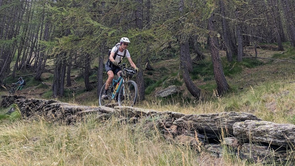 Unterwegs zum Rif. Willy Jervis Cottische Alpen 2026 07 153 Tommyv1.jpg